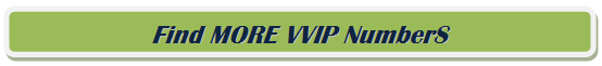 VVipPlateMaster2